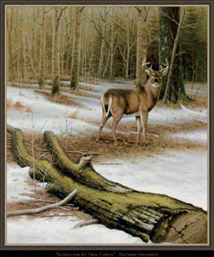 №31193 - животные, олени, пейзаж, зима - предпросмотр