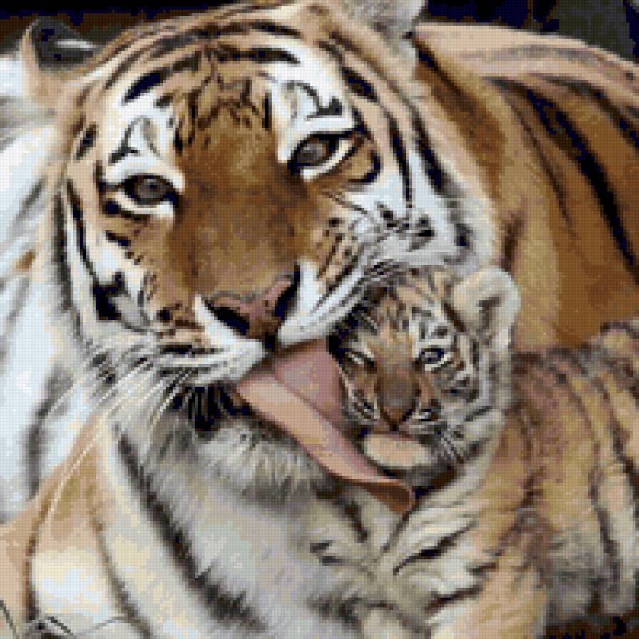тигры - тигрица с тигренком, тигрица мама - предпросмотр