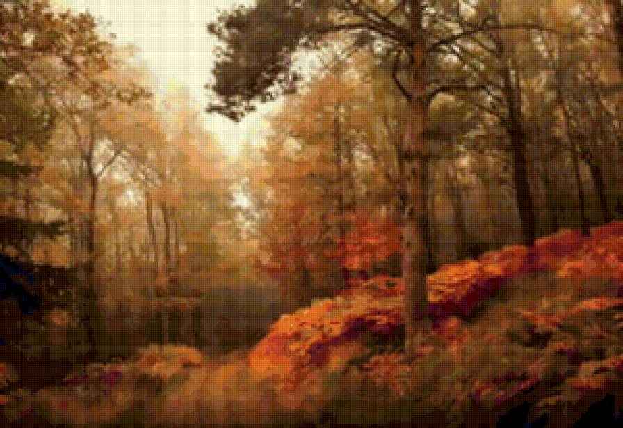 золотая осень - деревья, туман, осень, природа, лес - предпросмотр