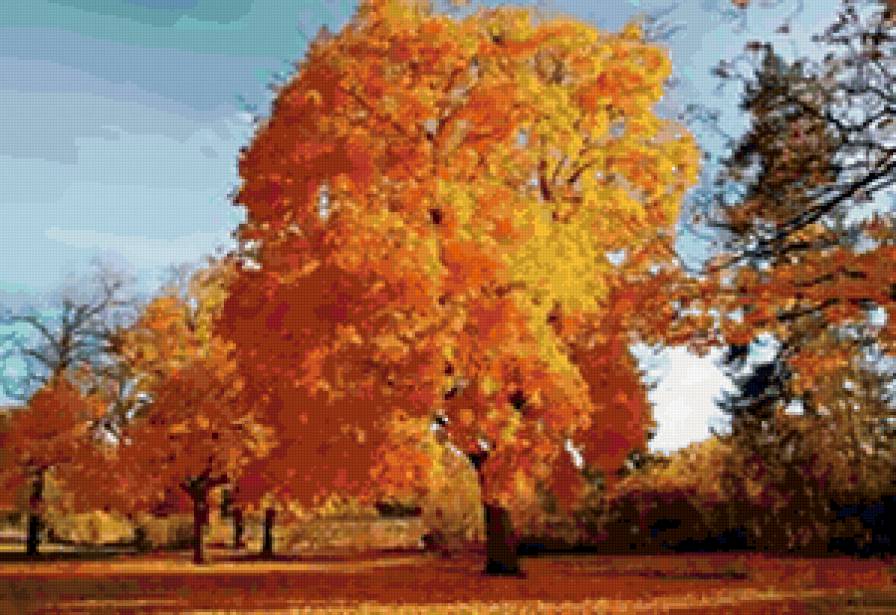 золотая осень - лес, осень, деревья, природа, парк - предпросмотр