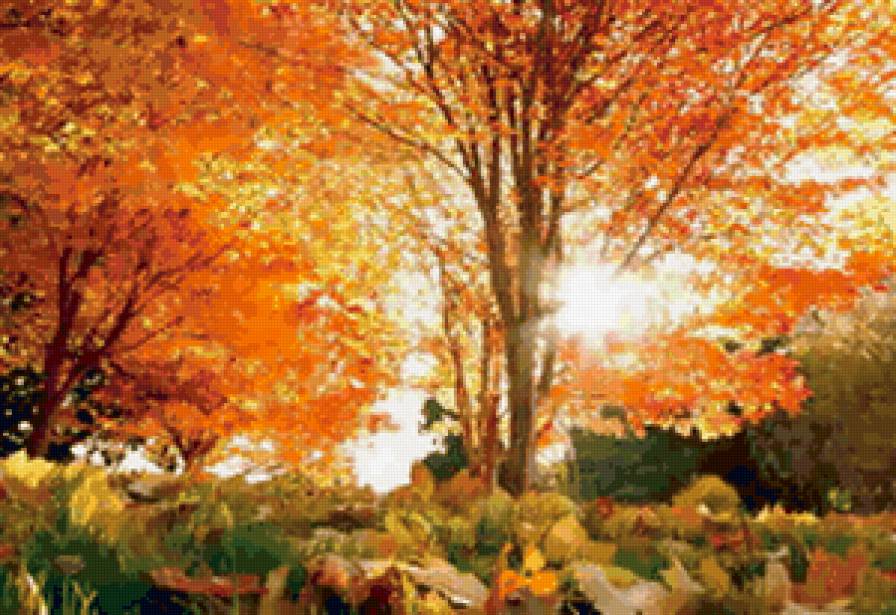 золотая осень - деревья, лес, природа, осень - предпросмотр
