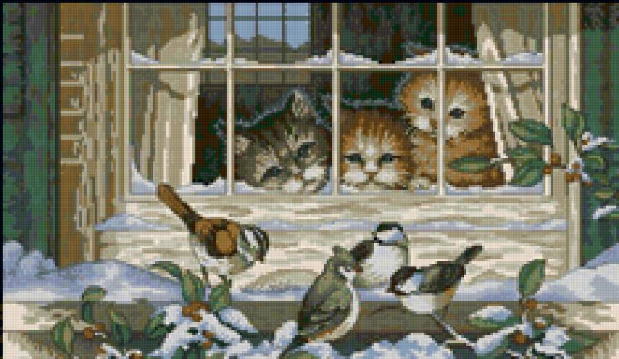 птички за окном - птички, коты, окно - предпросмотр