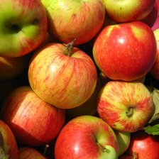 Оригинал схемы вышивки «яблочки» (№32222)