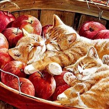 Котята в яблоках