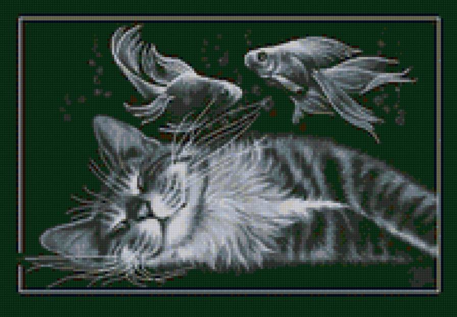 Спящий кот - животные, кот, рыбы - предпросмотр