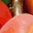 Предпросмотр схемы вышивки «абрикосы» (№33565)