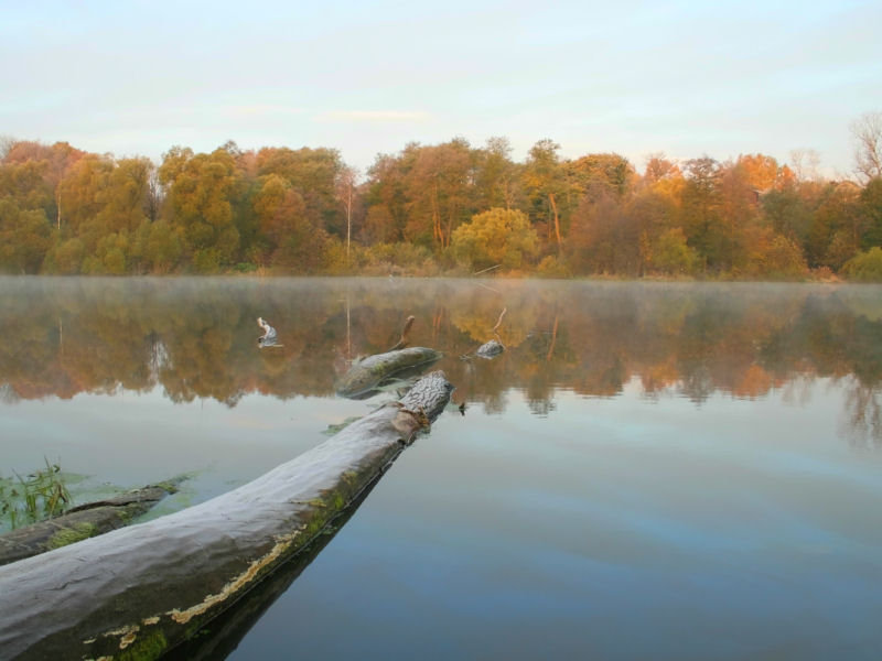 Осень на реке - пейзаж, осень, река - оригинал