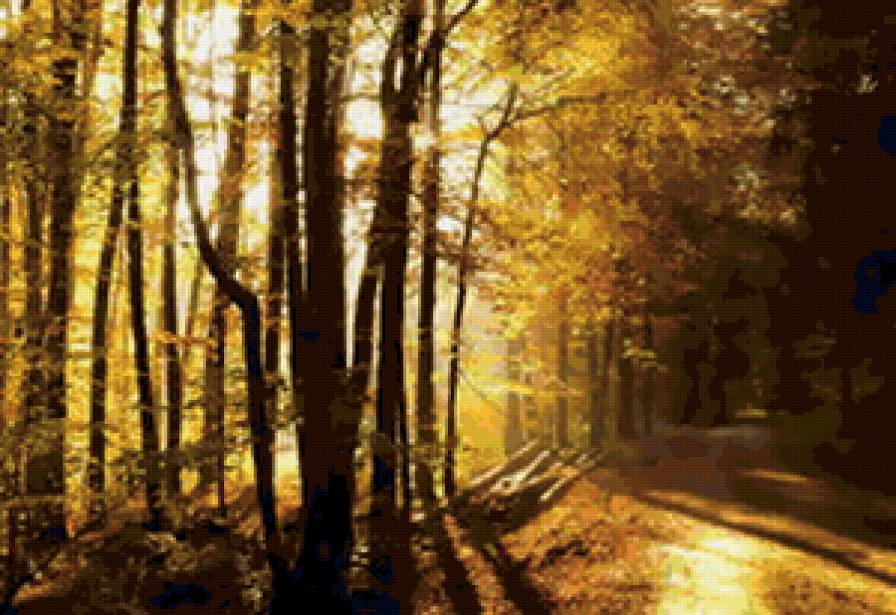 осенний пейзаж - пейзаж, лес, природа, деревья, осень - предпросмотр