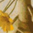 Предпросмотр схемы вышивки «Желтые цветы» (№33667)