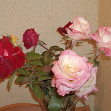 Оригинал схемы вышивки «Красавицы розы» (№34278)