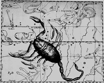 скорпион - знаки зодиака, черно-белое, монохром - оригинал