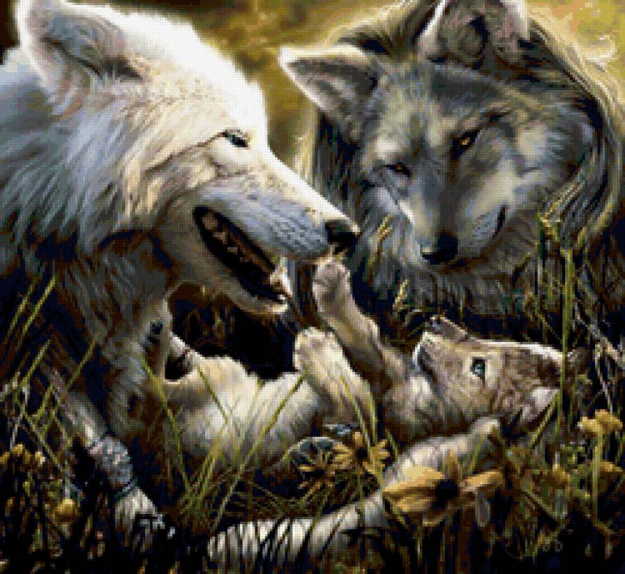 Семья волков - животные, волк, семья - предпросмотр
