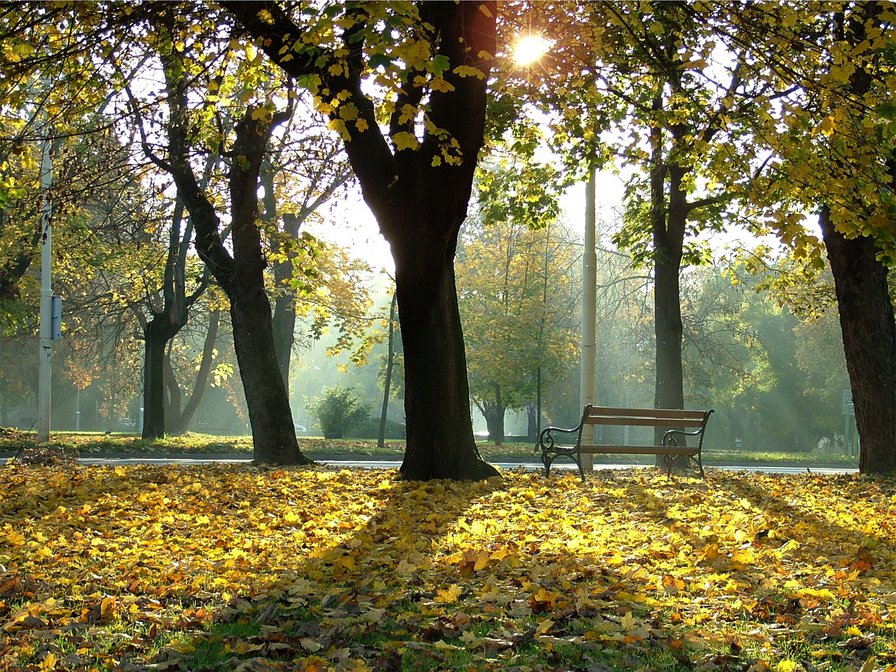 золотая осень - пейзаж, осень, природа - оригинал