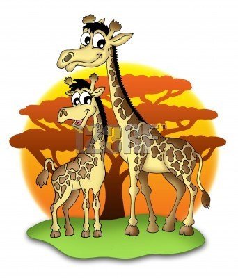 жирафы - жирафы, звери, животные - оригинал