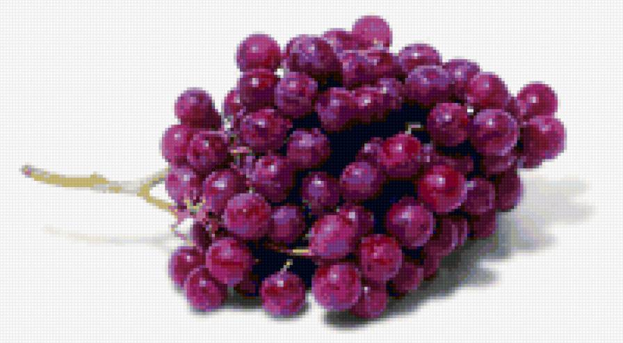 Виноград - фрукты - предпросмотр