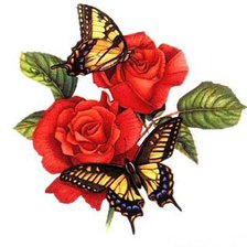 Оригинал схемы вышивки «бабочки на розе» (№35254)