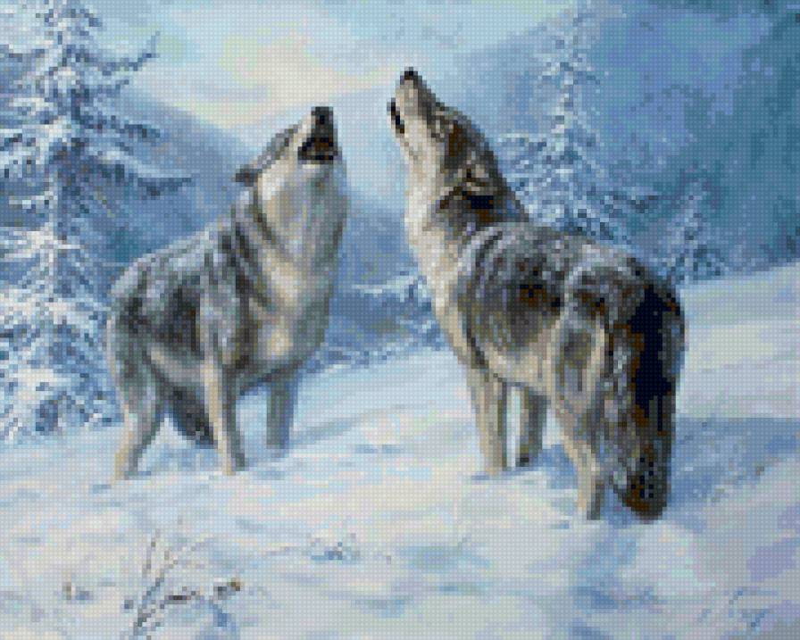 дуэт - волки, красота, животные, живопись, зима, картина, природа - предпросмотр