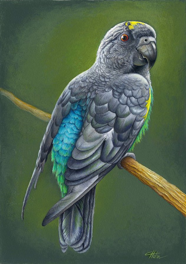 №35405 - картина, искусство, живопись, птицы, животные, природа - оригинал