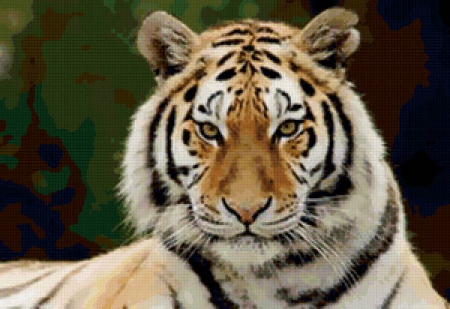 тигр - тигр, животные, звери - предпросмотр