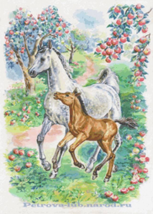 кони в яблоках - лошадь, жеребенок, кони, животные, природа - предпросмотр