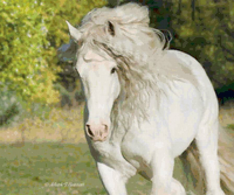 81 - животные, лошади, природа, красота - предпросмотр