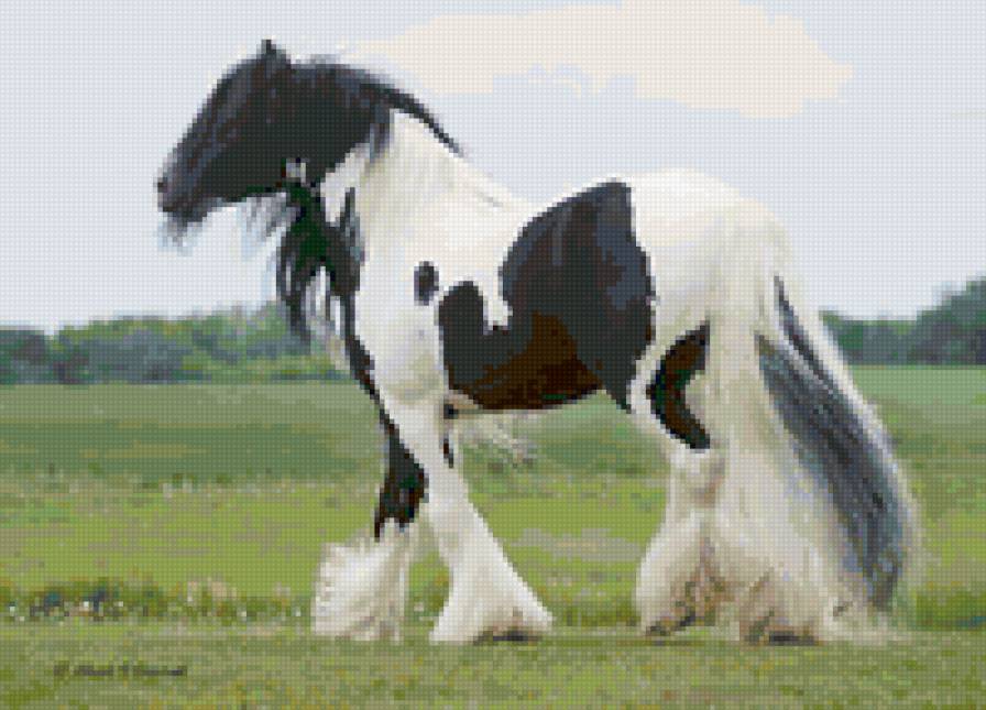 93 - красота, лошади, животные, природа - предпросмотр