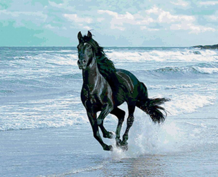 бегущий по волнам - море, конь - предпросмотр