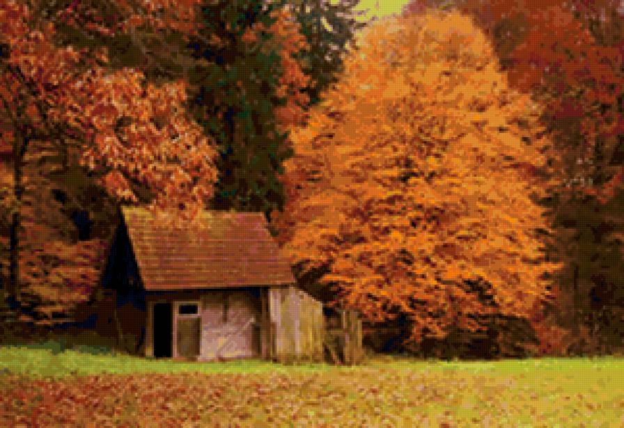 золотая осень - лес, пейзаж, осень, природа - предпросмотр