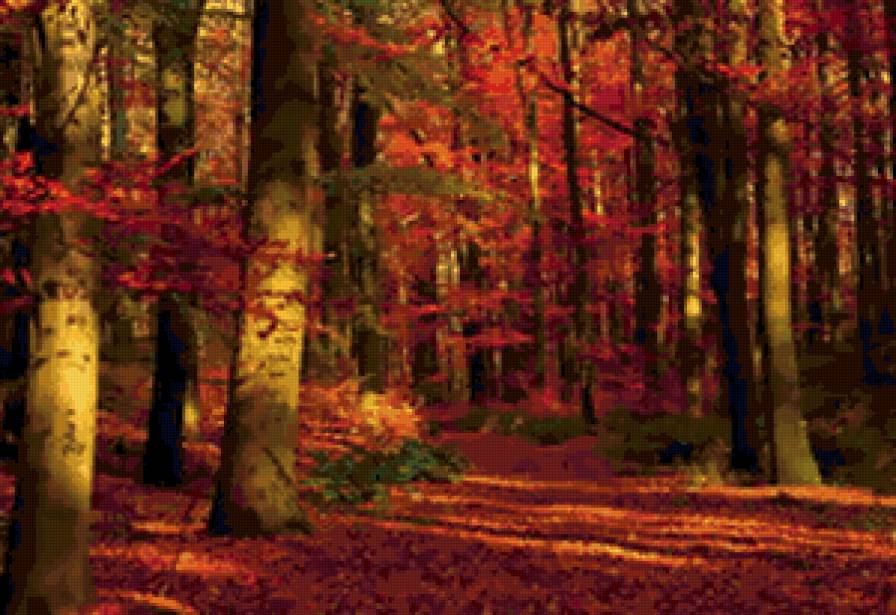 осень - осень, природа, лес, пейзаж - предпросмотр