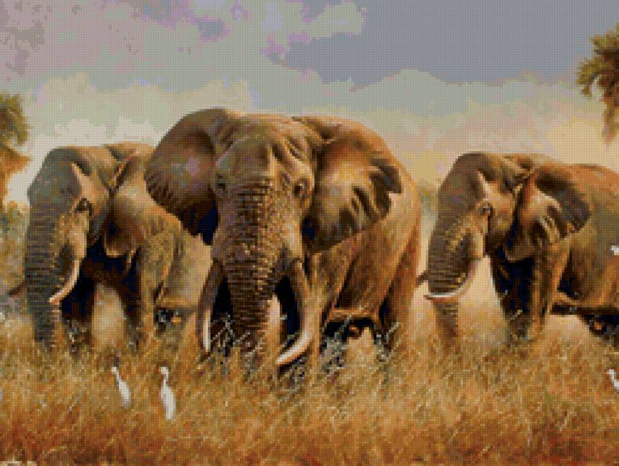 слоны - животные, природа - предпросмотр