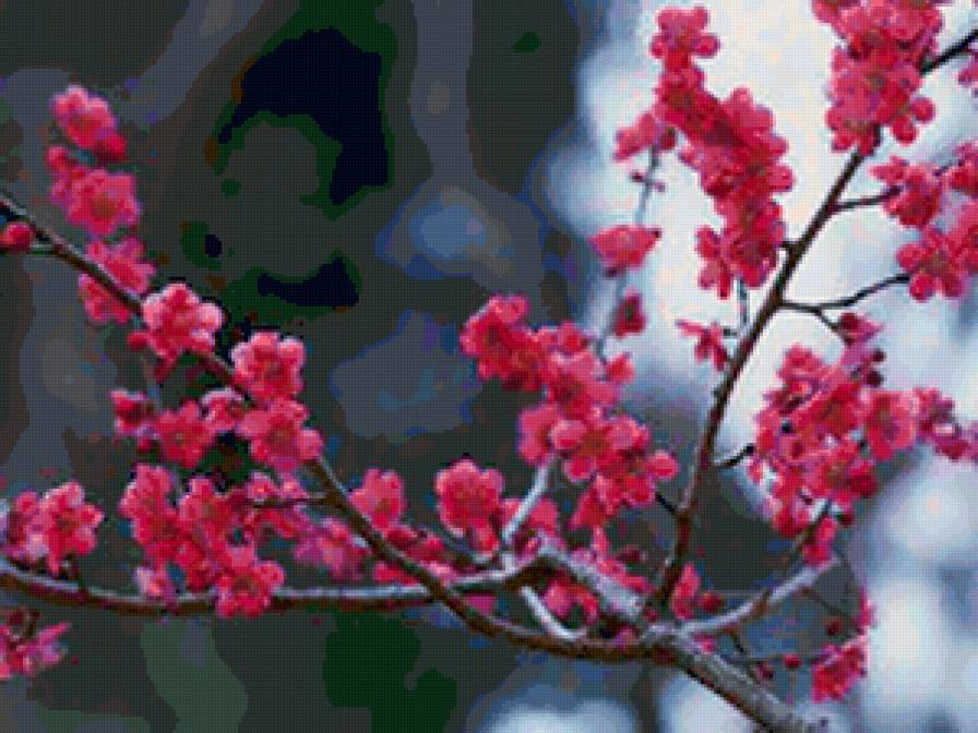 цветущая ветка - ветка, дерево, природа, цветы - предпросмотр