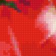 Предпросмотр схемы вышивки «цветы» (№37513)