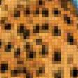Предпросмотр схемы вышивки «леопард» (№37538)