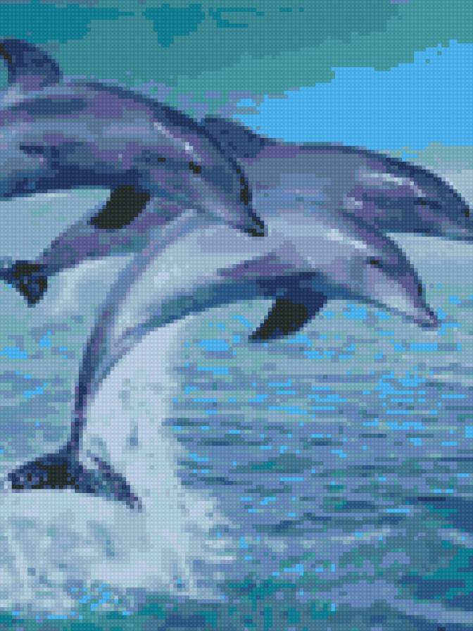 Дельфины - дельфины - предпросмотр