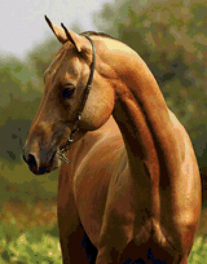 Золото  степей - животные, лошадь, конь - предпросмотр