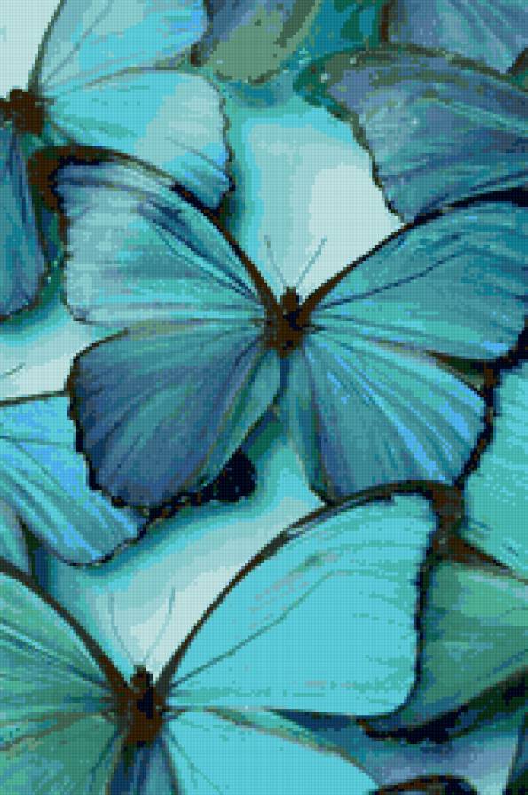 Бабочки - узор, крылья, бабочки, фон, насекомые - предпросмотр