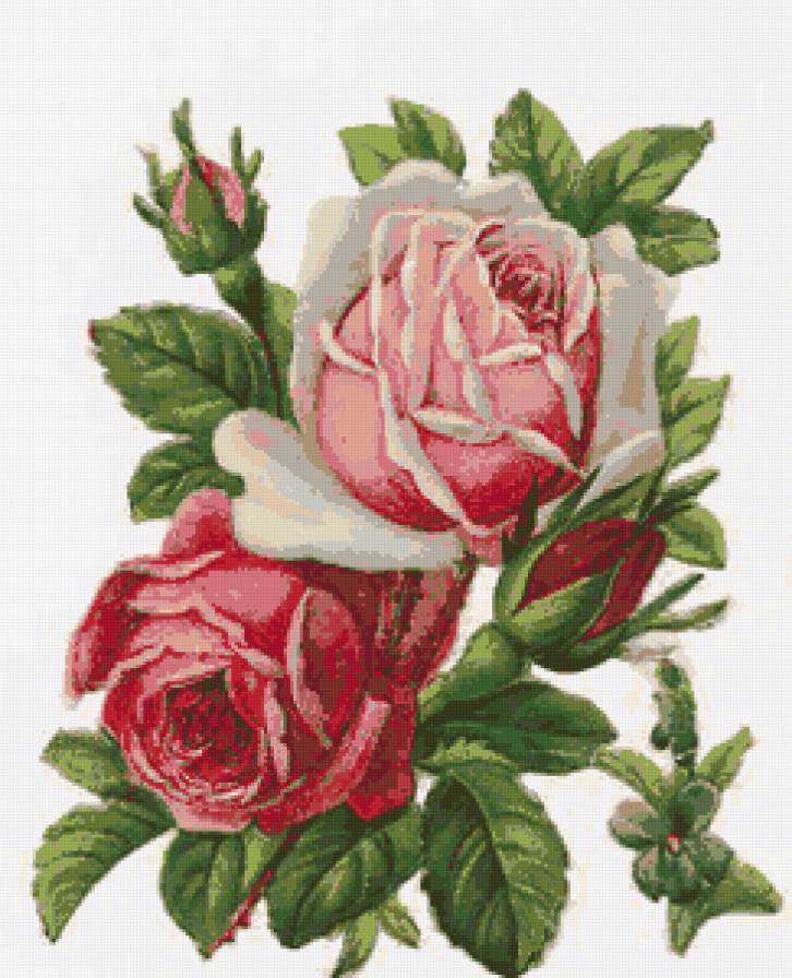 №39399 - ваза, розы, цветы, букет - предпросмотр