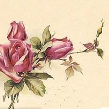 Оригинал схемы вышивки «Розы» (№39713)
