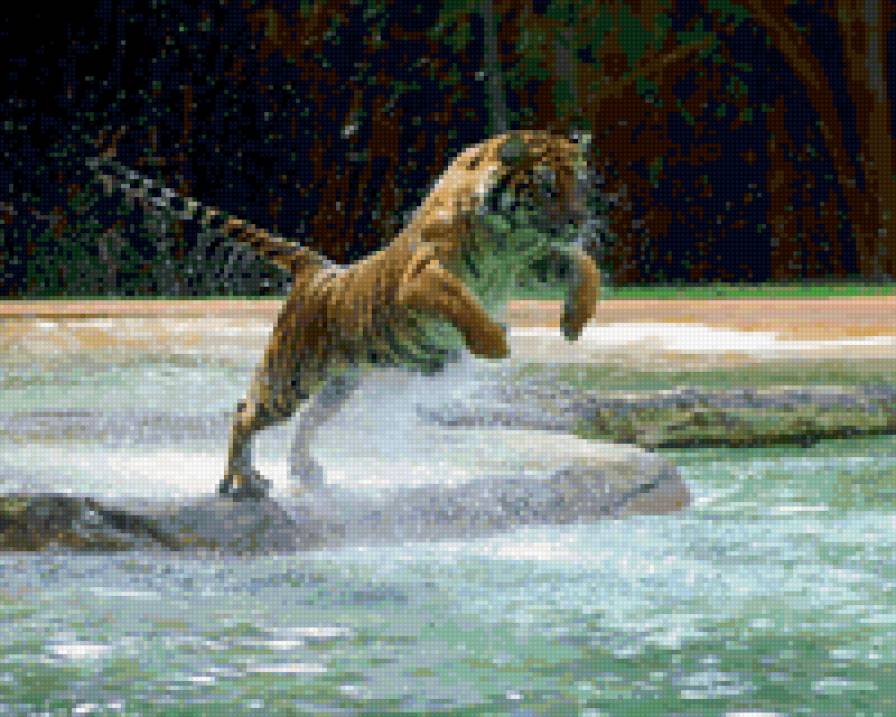 тигр1 - природа, животные, тигр - предпросмотр