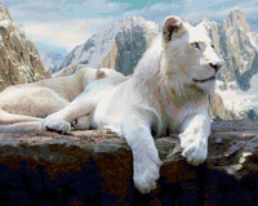 белый лев - белый лев, животные, природа - предпросмотр