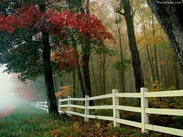 осень - пейзаж, природа, лес, осень - оригинал