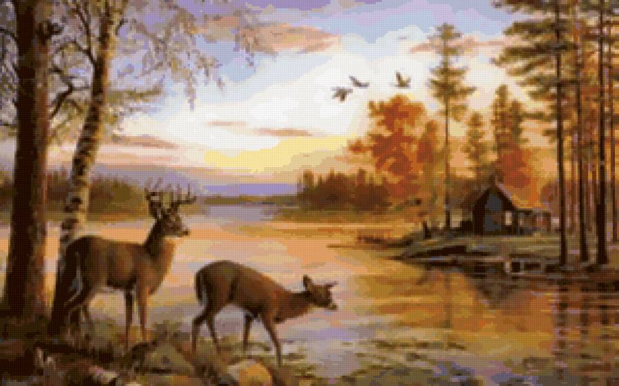 вечер - природа, осень, озеро, животные, пейзаж - предпросмотр