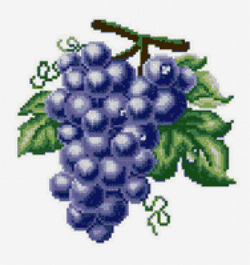 виноград - фрукты, виноград, на кухню - предпросмотр