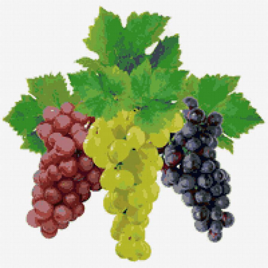 виноград - фрукты, виноград, на кухню - предпросмотр