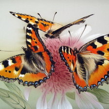 Оригинал схемы вышивки «бабочки» (№41392)
