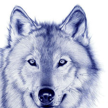 Оригинал схемы вышивки «волк» (№41401)