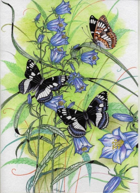 бабочки и колокольчики - бабочки, цветы - оригинал