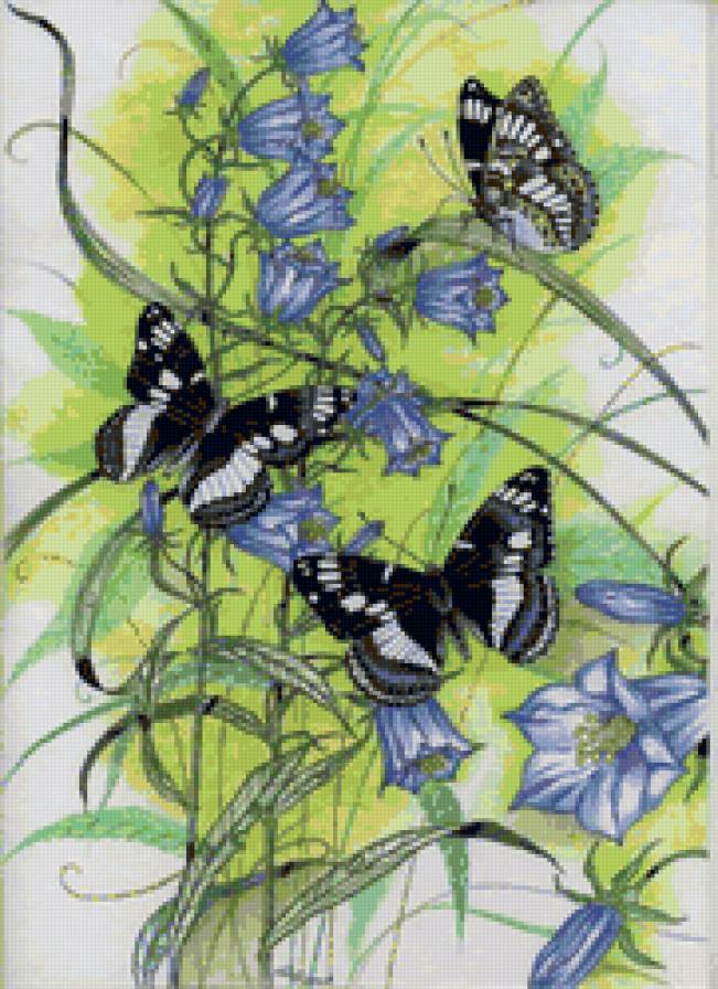 бабочки и колокольчики - цветы, бабочки - предпросмотр