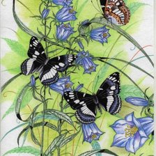 Оригинал схемы вышивки «бабочки и колокольчики» (№41418)