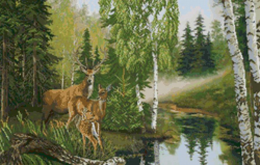 Олени у ручья - олени, животные, лес, пейзаж, природа, ручей - предпросмотр